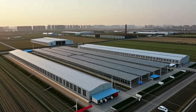 企业资源管理平台在信息咨询领域的应用与发展趋势